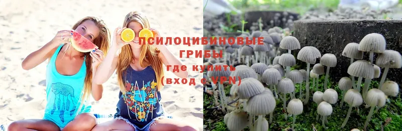 hydra рабочий сайт  Кремёнки  Псилоцибиновые грибы MAGIC MUSHROOMS  наркошоп 